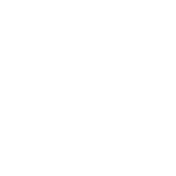white dental implants