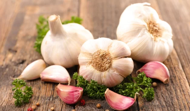 Garlic